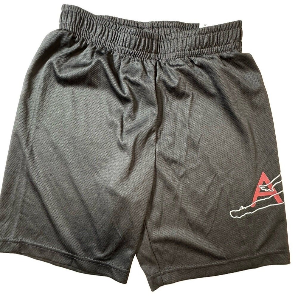 Nike Boys Youth Large Air Jordan Jumpman Classic Mesh Athletic Shorts Large 0160